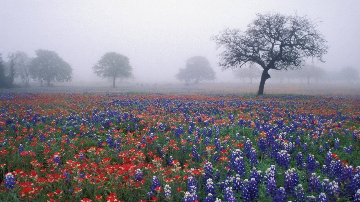 Texas Hill Country Wallpapers - PixelsTalk