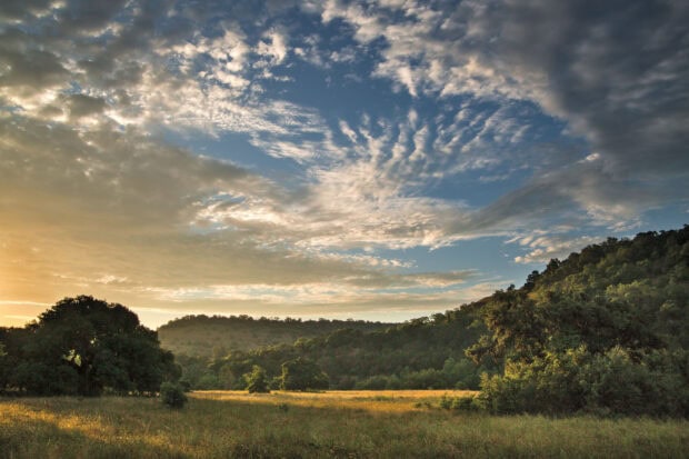Sunrise over Texas Hill Country with lush green trees and open fields