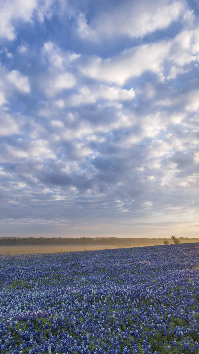 Texas Hill Country Wallpapers - PixelsTalk