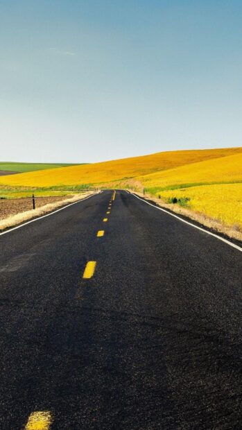 A scenic view of Texas Hill Country road surrounded by golden fields under clear sky