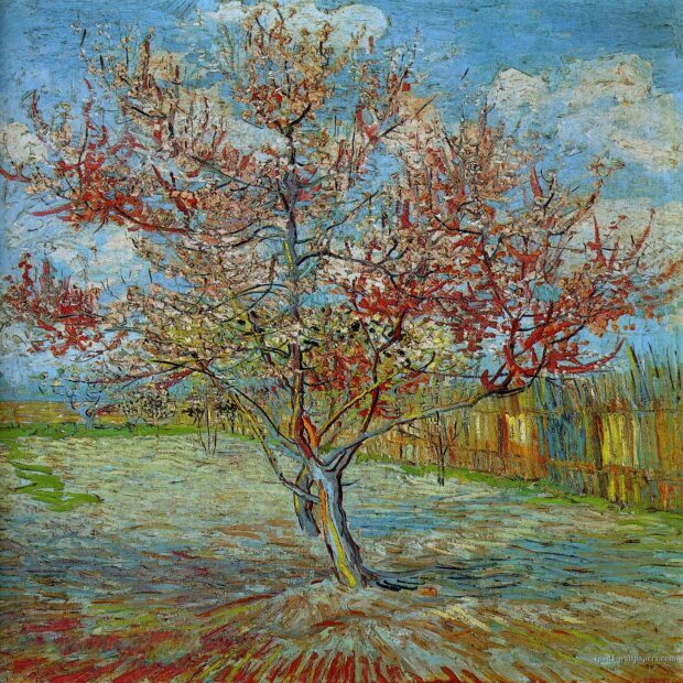 A blossoming almond tree painted by Vincent Van Gogh in springtime