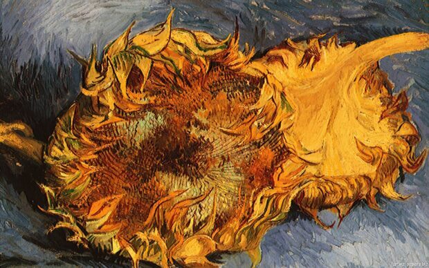 Two sunflowers painted by Vincent Van Gogh in vibrant colors and thick brushstrokes