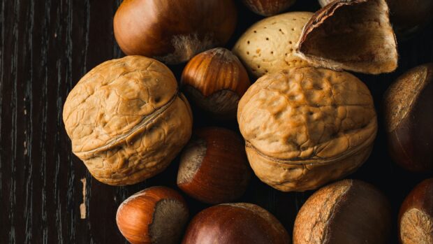 Close up of walnuts and hazelnuts on dark wooden surface featuring natural textures