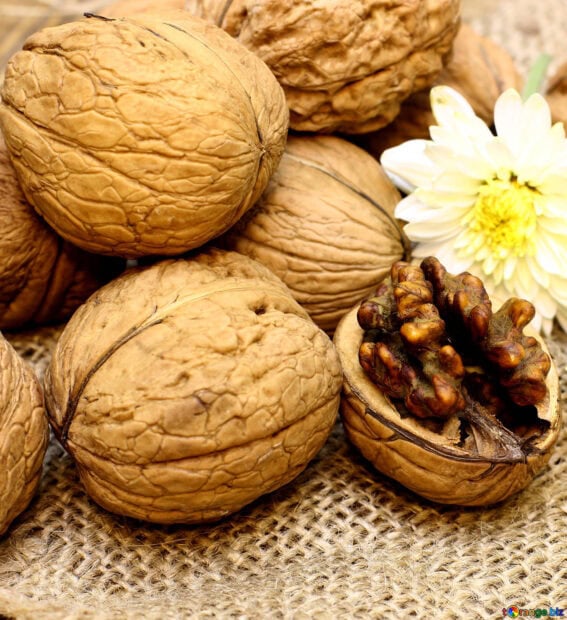 Close up of walnuts and shelled walnut on a textured surface with a white flower background