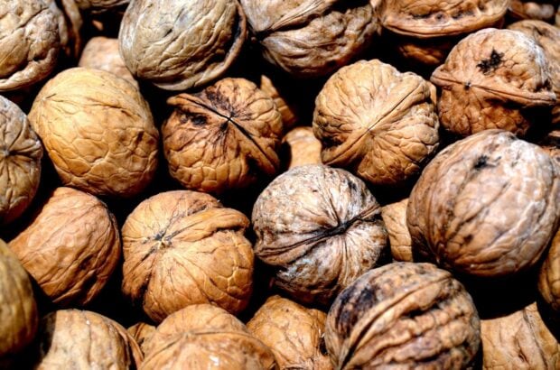 A close up view of walnuts in their shells showing detailed textures and natural colors