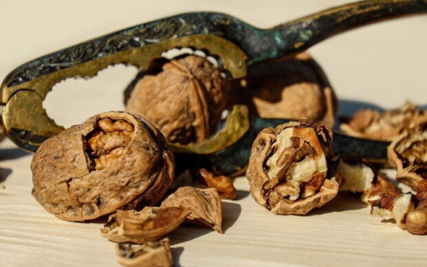 Cracked walnuts with shell and nutcracker on wooden surface in natural light