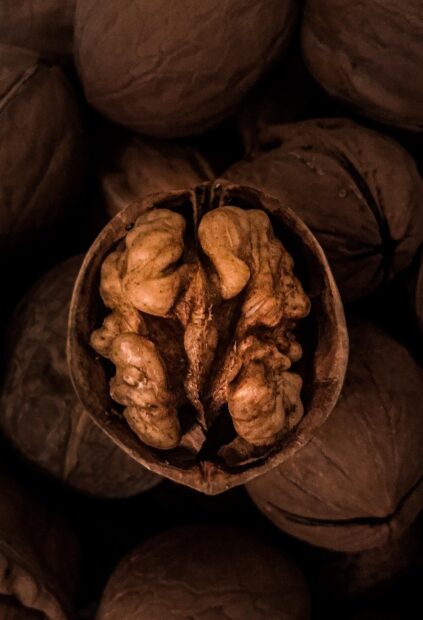 Close up of walnuts showing detailed texture and natural shape inside the shell