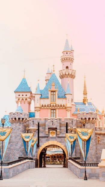 The Walt Disney World Resort castle with blue rooftops and golden banners in HD quality