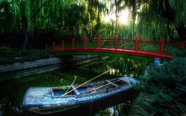 Old wooden boat by a willow tree near a red bridge in a calm pond