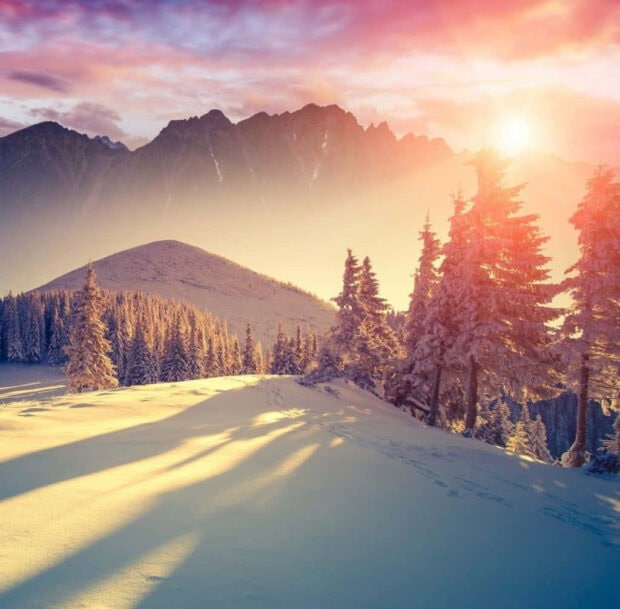 Snow covered trees and mountains during winter sunset in a scenic landscape