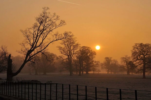 Bare trees in winter landscape at sunset with orange sky and sun visible