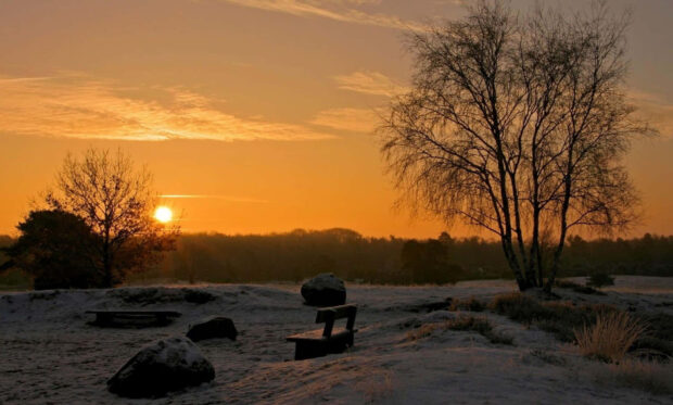 Winter sunset landscape with bare trees and frost covered ground in winter