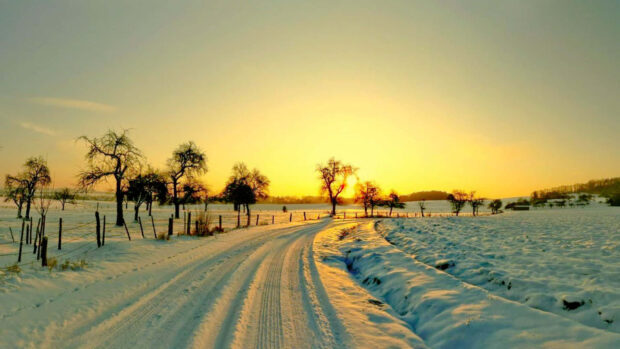 Winter sunset with snowy road and barren trees in a winter landscape
