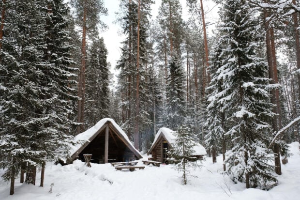 Snow covered forests with wooden huts in a winter wonderland scene