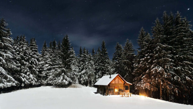 A cozy cabin surrounded by snowy pine trees in a winter wonderland forest at night