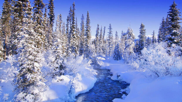 Snow covered trees surround a clear river in a winter wonderland