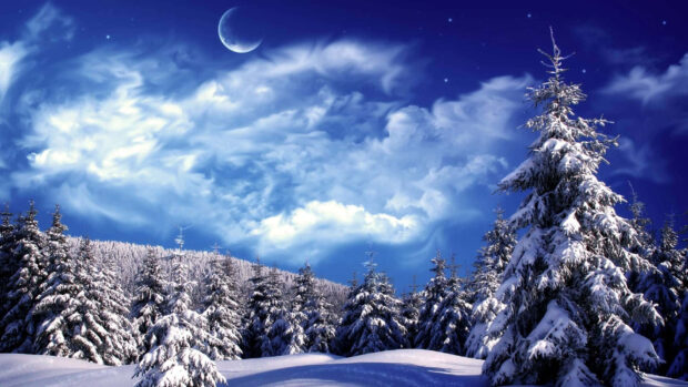 Snow covered forest in a winter wonderland under a moonlit sky