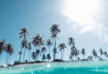 Clear ocean water and palm trees with an inspirational quote about life