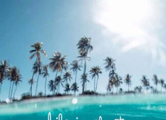 Clear ocean water and palm trees with an inspirational quote about life