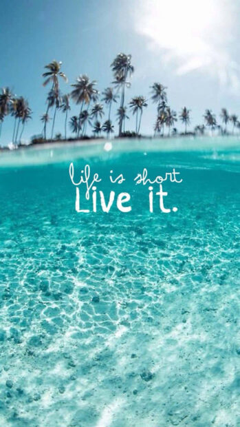 Clear ocean water and palm trees with an inspirational quote about life