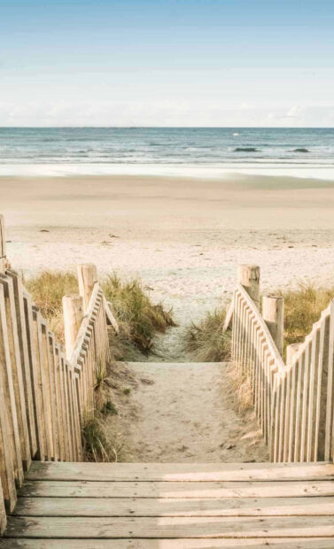 A sandy pathway with wooden fences leads through coastal grass to a calm seaside beach