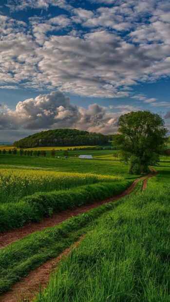 Aesthetic summer landscape with green fields and cloudy sky under natural sunlight