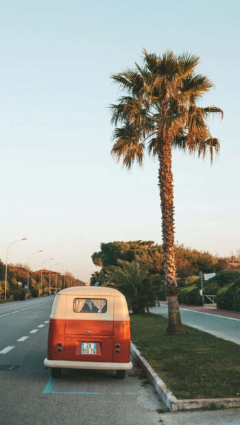 Vintage van parked near palm trees on a sunny summer road with clear sky