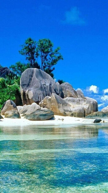 Clear water and granite rocks on a tropical beach with lush green trees under blue sky
