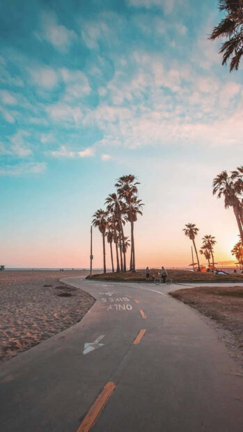Sunset bike path with palm trees and people cycling along the beach in summer