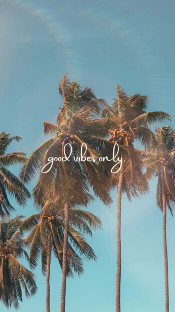 Tall palm trees under clear blue sky with good vibes only slogan