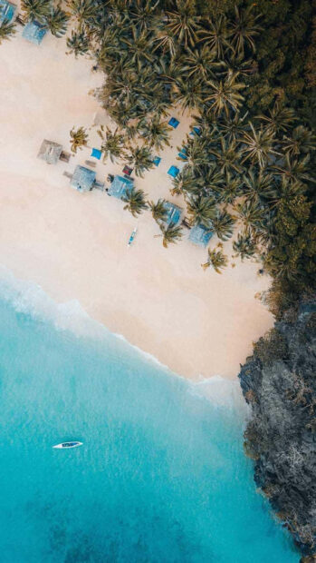 Tropical summer scene with palm trees and clear blue ocean by the sandy shore