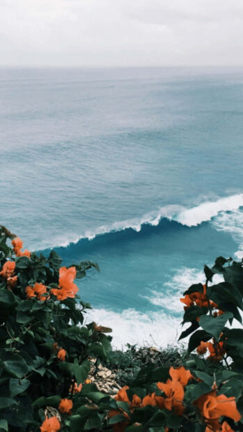Vibrant summer flowers overlooking the blue ocean waves from a cliffside