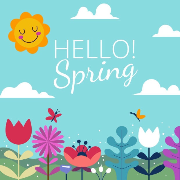 Colorful spring flowers and a smiling sun brighten the cheerful spring landscape