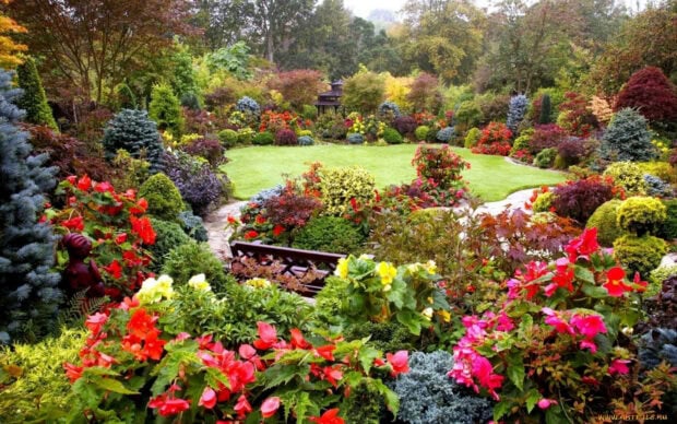 Colorful spring garden with vibrant flowers and lush greenery in a peaceful landscape