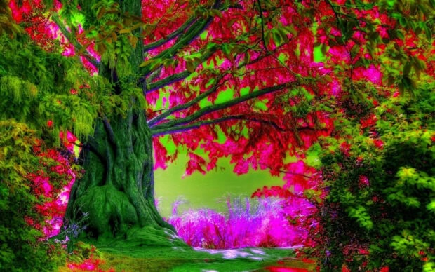 Large tree with vibrant colorful spring foliage in a beautiful spring setting