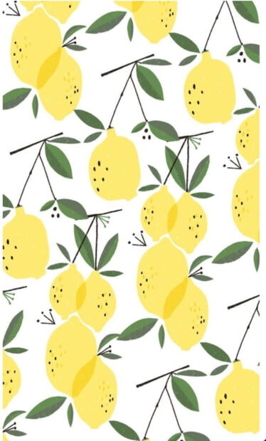 Fresh lemon branches with green leaves illustration on white background