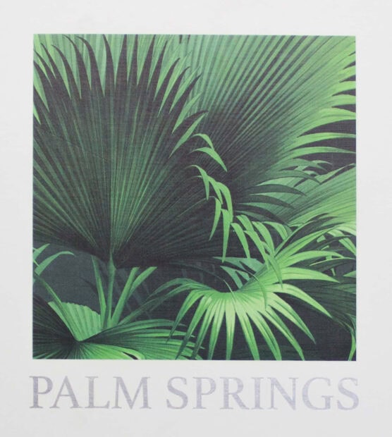 Large green palm leaves in a lush Palm Springs setting