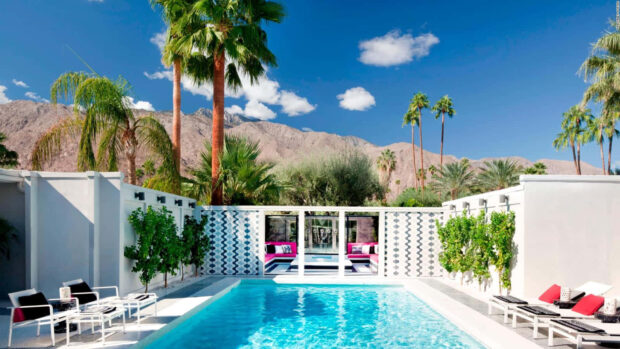Palm Springs view with pool and palm trees under clear blue sky