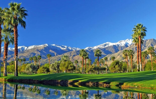 Snow capped mountains and palm trees in Palm Springs golf course reflecting in water