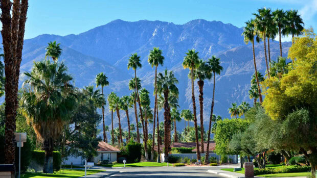 A residential street lined with palm trees and mountains in the distance in Palm Springs