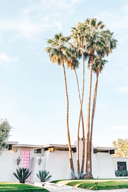 Tall palm trees standing beside a white house in Palm Springs with a bright pink door