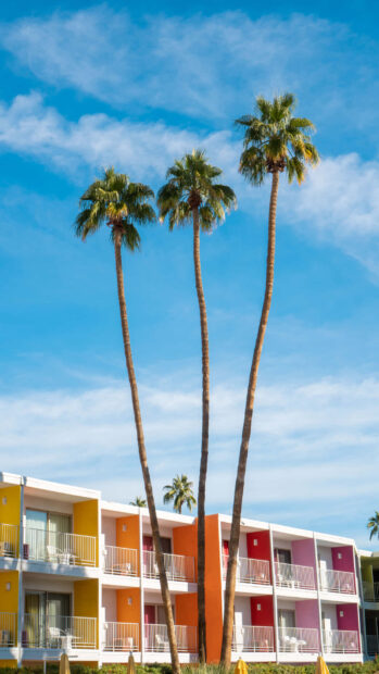 Tall palm trees stand in front of colorful buildings under a bright blue sky in Palm Springs