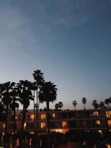 Evening view of Palm Springs with tall palm trees and illuminated building windows