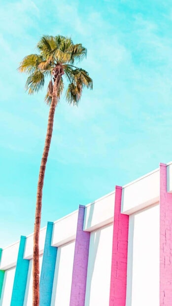 Tall palm tree standing next to colorful pillars under a clear blue sky