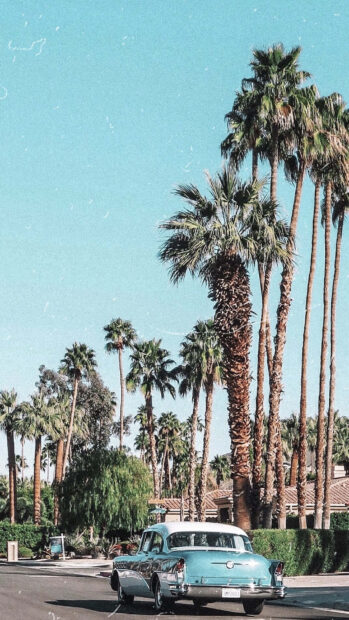Vintage car driving down a street with palm trees in Palm Springs