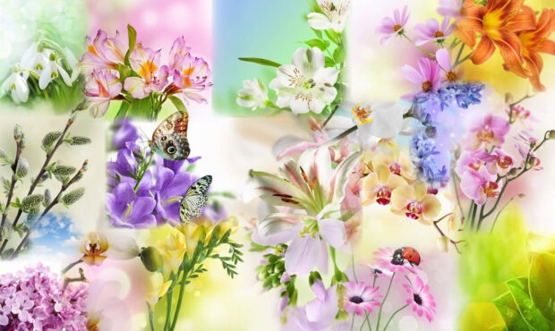 Various pastel summer flowers with butterflies and a ladybug in soft focus