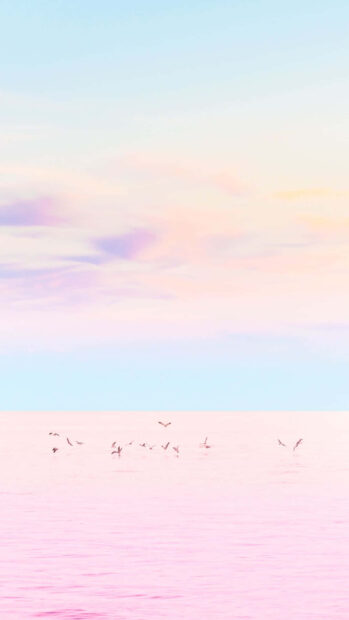 Soft pastel sky and sea with birds flying over calm waters in summer colors