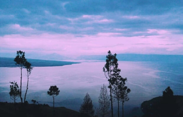 Peaceful pastel summer scene with trees overlooking calm water and soft purple sky