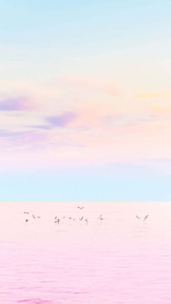 A pastel summer scene with soft pink ocean and flying birds in the sky