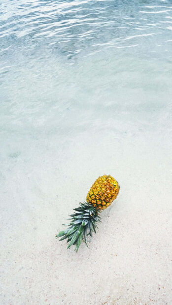 A single pineapple resting on soft sand near clear pastel blue water